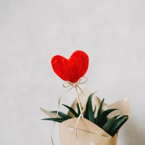 男女做爱真人免费
