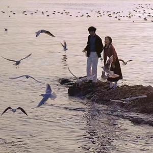 男女做爱真人免费
