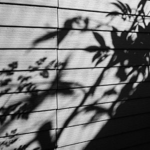 男女做爱真人免费
